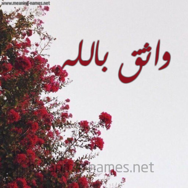 شكل 18 صوره الورد الأحمر للإسم بخط رقعة صورة اسم واثق بالله Wathek-Bellah